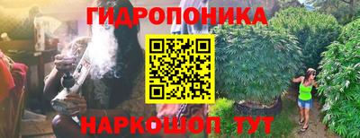 гидропоника Краснокаменск