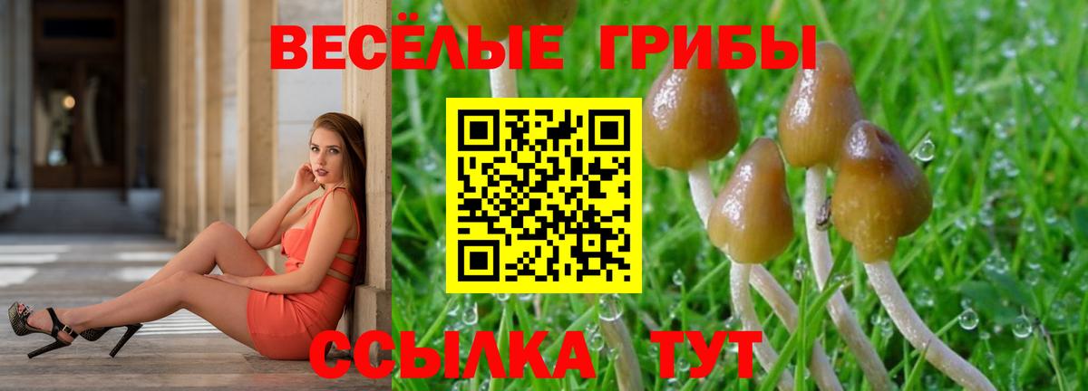 где найти наркотики  Вход с VPN  Клин  Галлюциногенные грибы GOLDEN TEACHER 