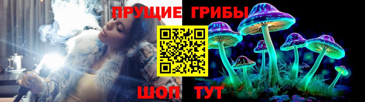 Псилоцибиновые грибы MAGIC MUSHROOMS Клин